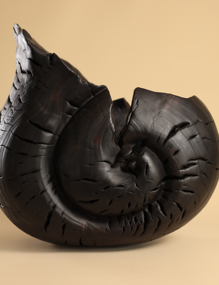 Andreea Zahiu - Bois