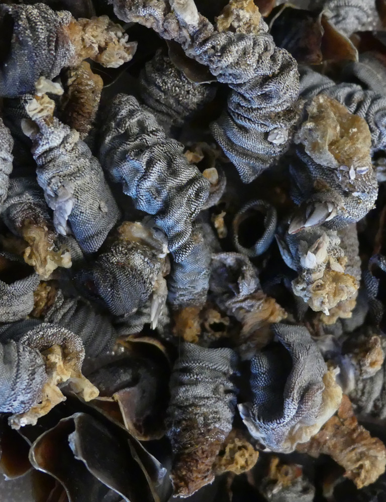 Karen Raccah - Photographie et sculpture