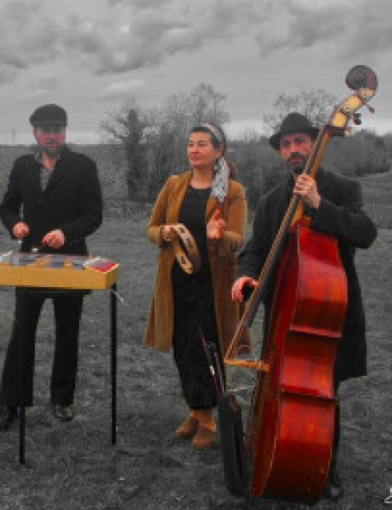 VOYAGE EN TZIGANIE / TARAF BOHEMIAN