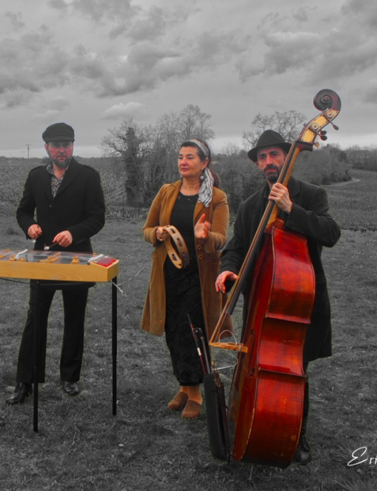 VOYAGE EN TZIGANIE / TARAF BOHEMIAN