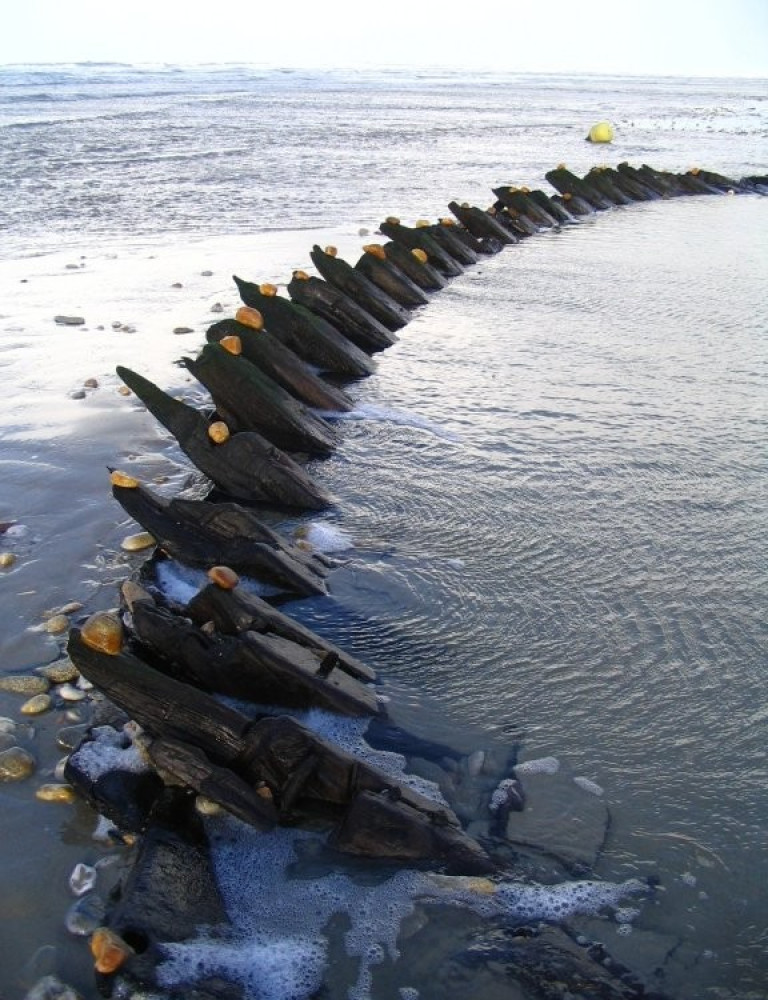 Atelier "découverte du land art au bord de la mer"