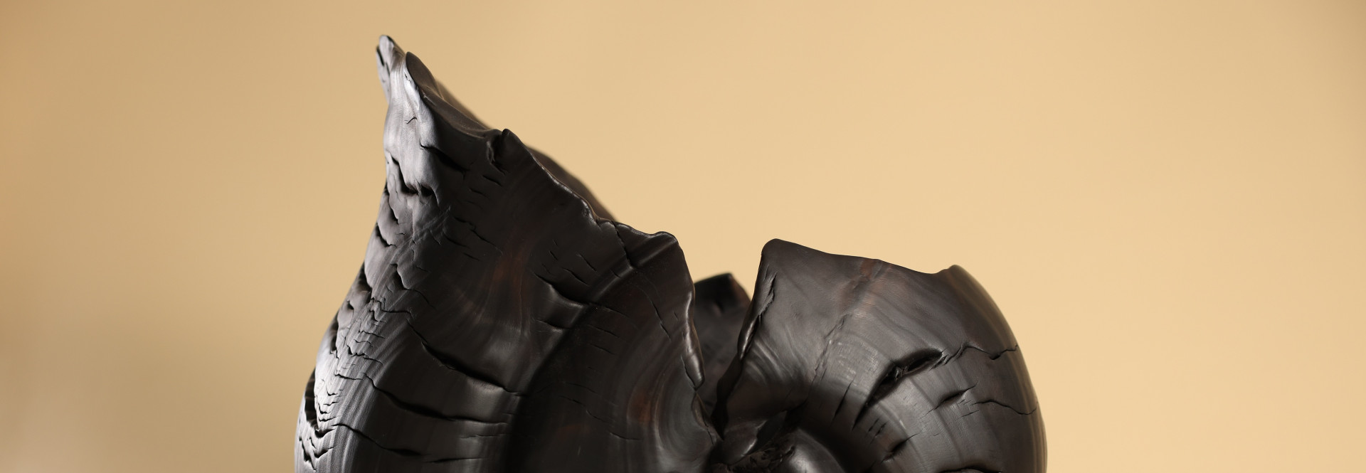 Andreea Zahiu - Bois