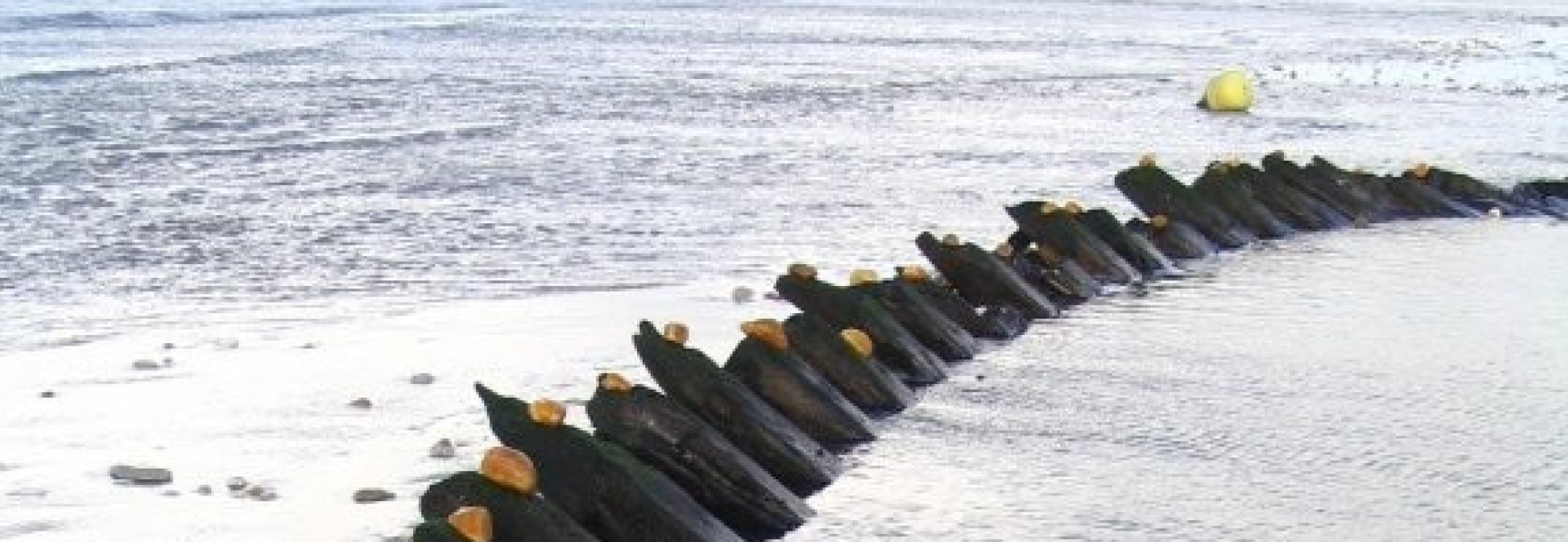 Atelier "découverte du land art au bord de la mer"